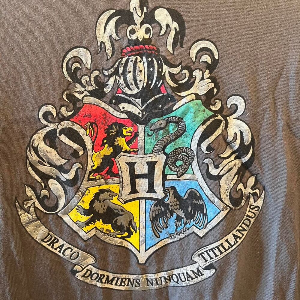 Harry-potter Grey and Brown T-shirt